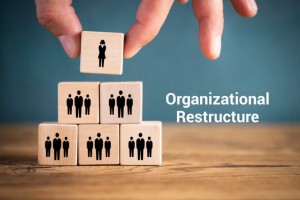 shutterstock_1113282422-min-768x512