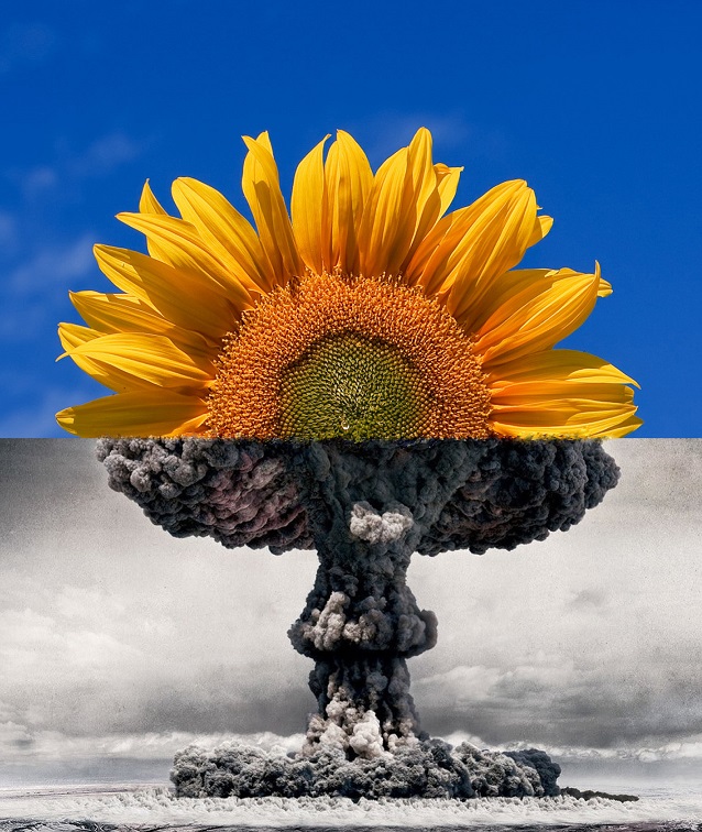 Mushroom_cloud_becoming_sunflower