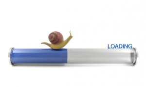 Snail crawling on download bar, conceptual image showing slow internet downloading